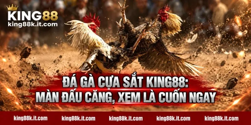 Đá Gà Cựa Sắt KING88: Màn Đấu Căng, Xem Là Cuốn Ngay