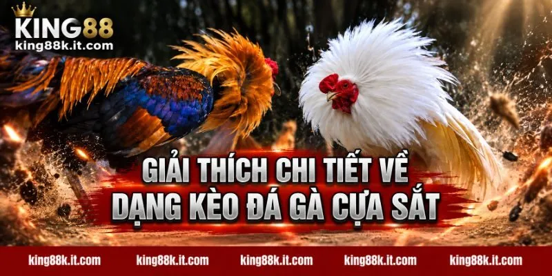 Giải thích chi tiết về dạng kèo đá gà cựa sắt