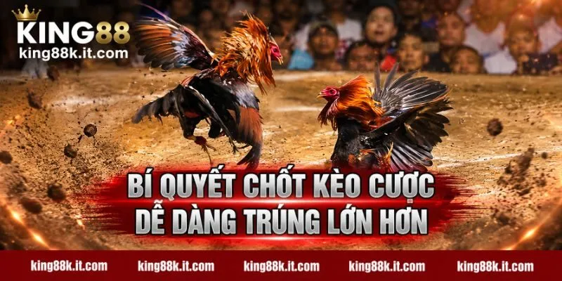 Bí quyết chốt kèo cược dễ dàng trúng lớn hơn