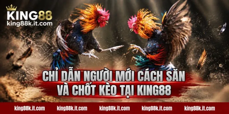 Chỉ dẫn người mới cách săn và chốt kèo tại KING88