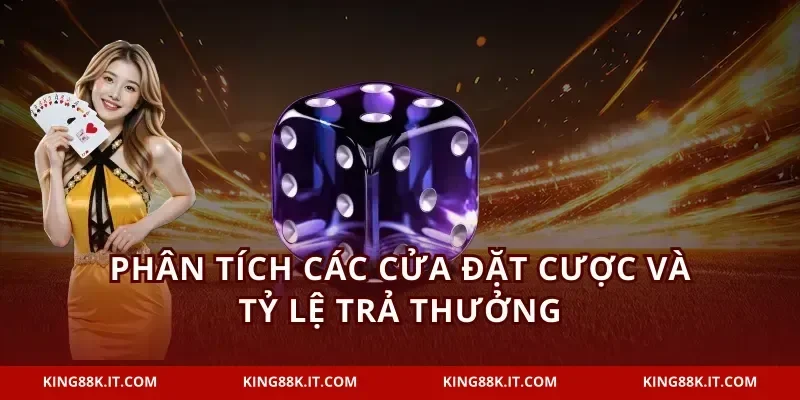 Phân tích các cửa đặt cược và tỷ lệ trả thưởng