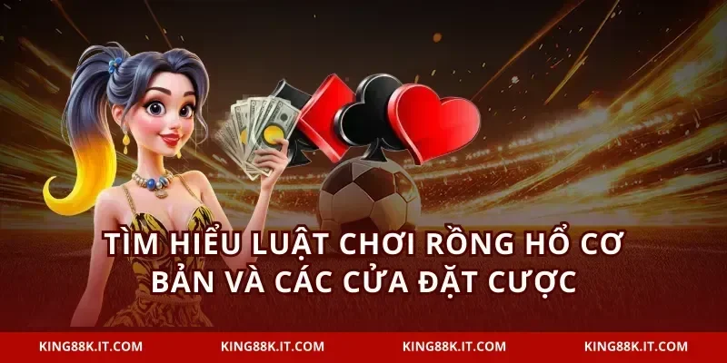 Tìm hiểu luật chơi Rồng Hổ cơ bản và các cửa đặt cược