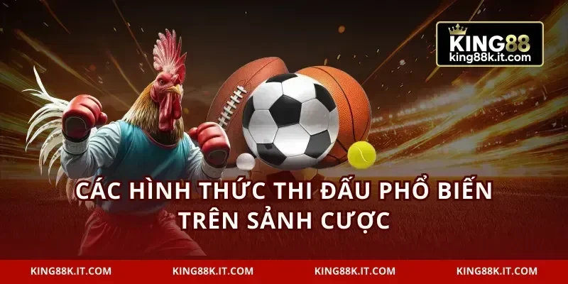 Các hình thức thi đấu phổ biến trên sảnh cược