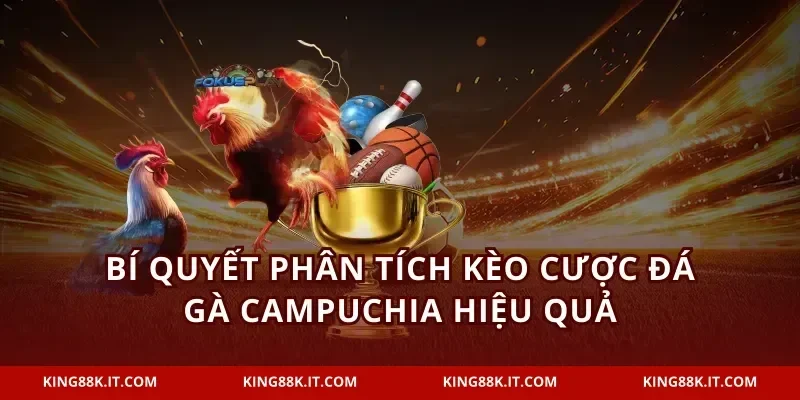 Bí quyết phân tích kèo cược đá gà Campuchia hiệu quả