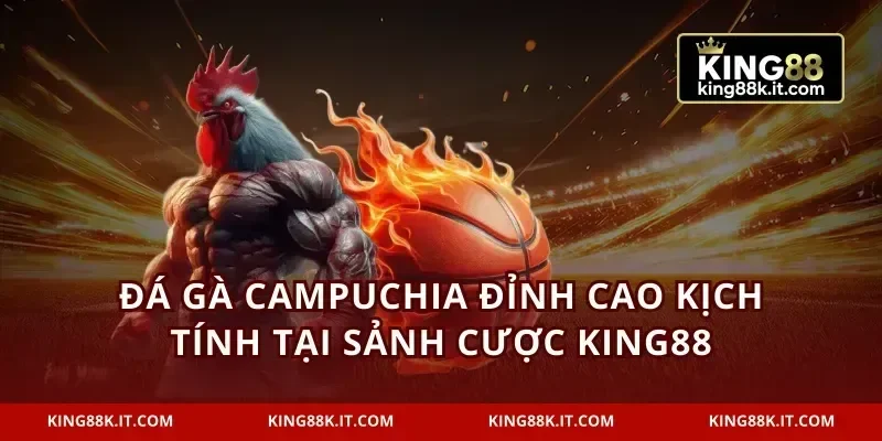 Đá Gà Campuchia Đỉnh Cao Kịch Tính Tại Sảnh Cược KING88
