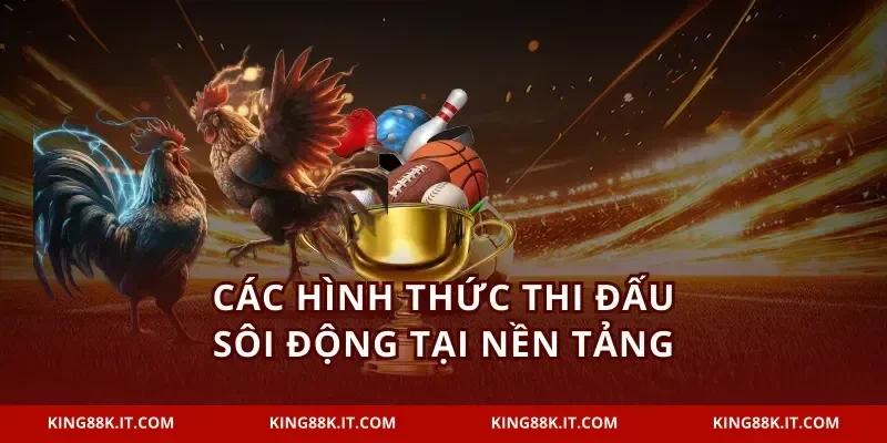 Các hình thức thi đấu sôi động tại nền tảng