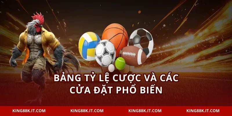 Bảng tỷ lệ cược và các cửa đặt phổ biến