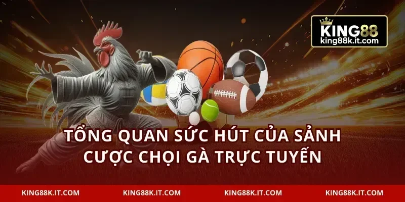 Tổng quan sức hút của sảnh cược chọi gà trực tuyến