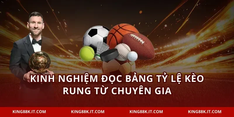 Kinh nghiệm đọc bảng tỷ lệ kèo rung từ chuyên gia