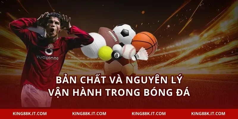 Bản chất và nguyên lý vận hành trong bóng đá